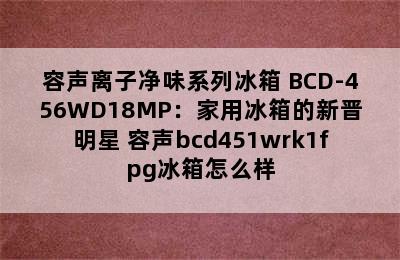 容声离子净味系列冰箱 BCD-456WD18MP：家用冰箱的新晋明星 容声bcd451wrk1fpg冰箱怎么样